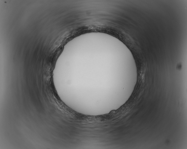 X0000116571012200912311949