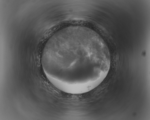 X0000116571013200912311949