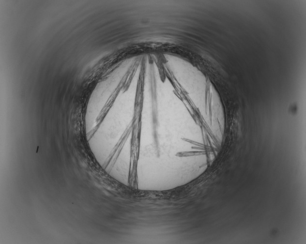 X0000116571014200912311949