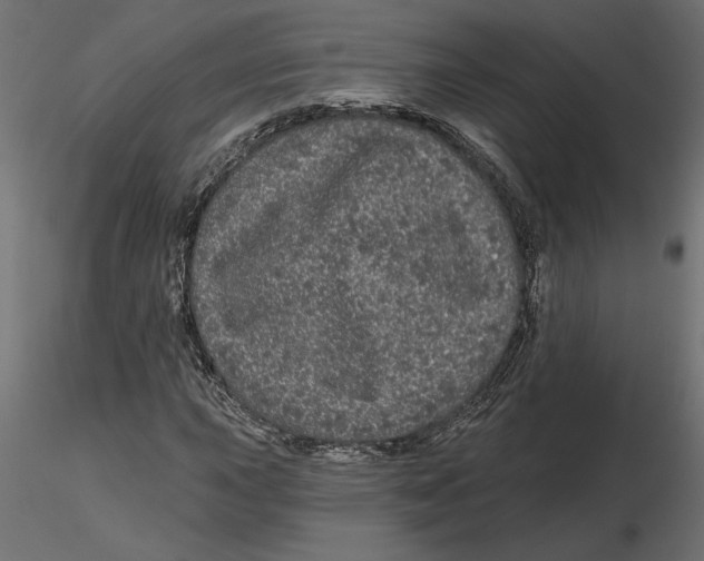 X0000116571015200912311949