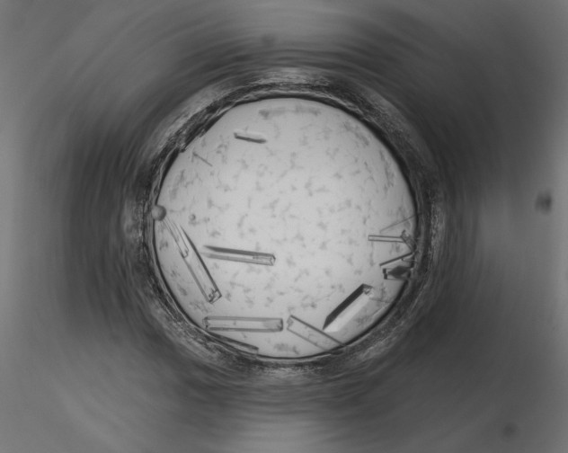 X0000116571017200912311949