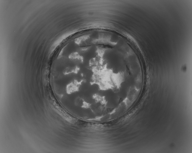 X0000116571019200912311949