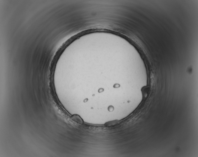 X0000116571020200912311949