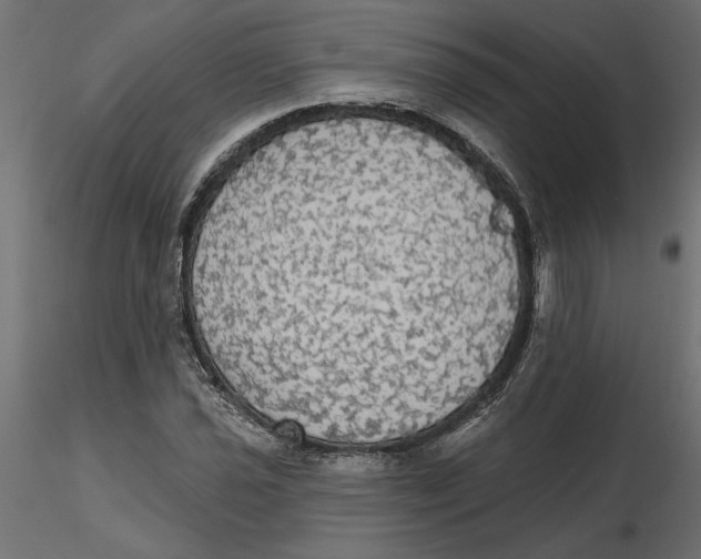 X0000116571021200912311949