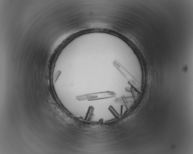 X0000116571022200912311949