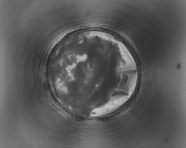 X0000116571023200912311949