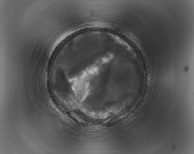 X0000116571024200912311949