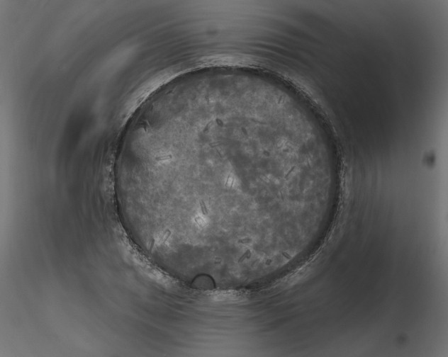 X0000116571025200912311949