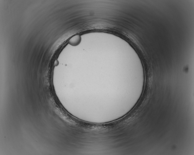 X0000116571026200912311949