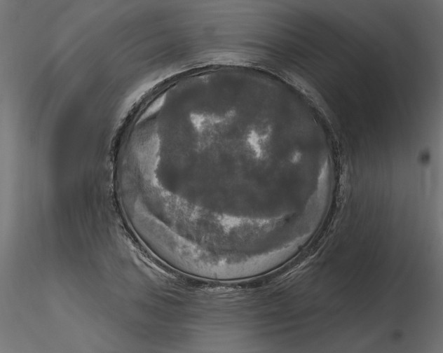 X0000116571027200912311949