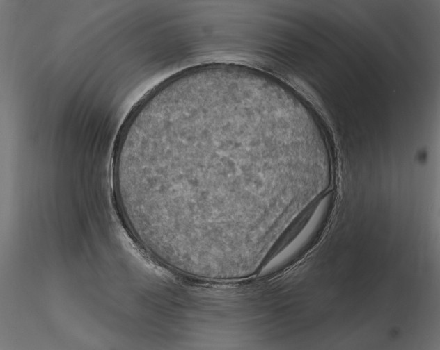 X0000116571028200912311949