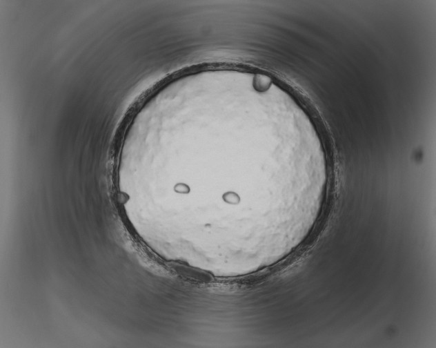 X0000116571029200912311949