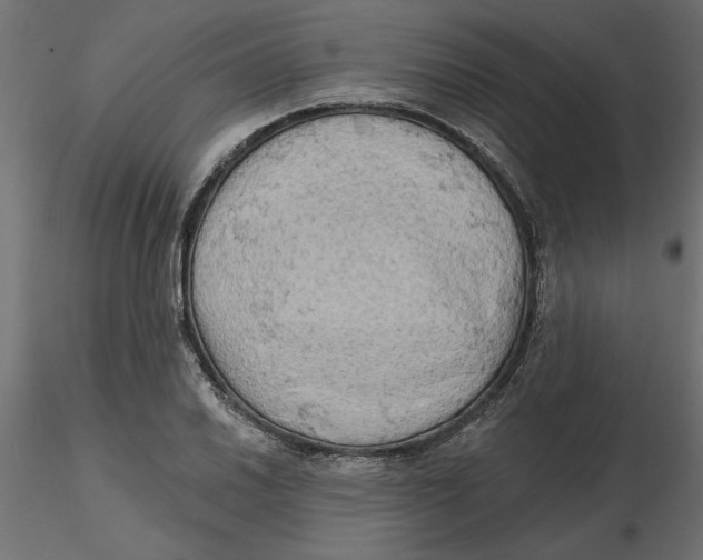 X0000116571030200912311949