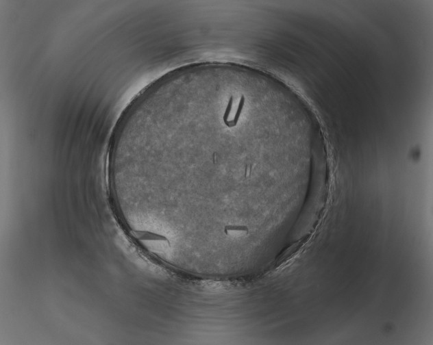 X0000116571032200912311949