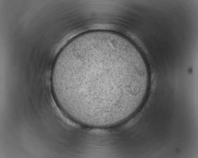 X0000116571033200912311949