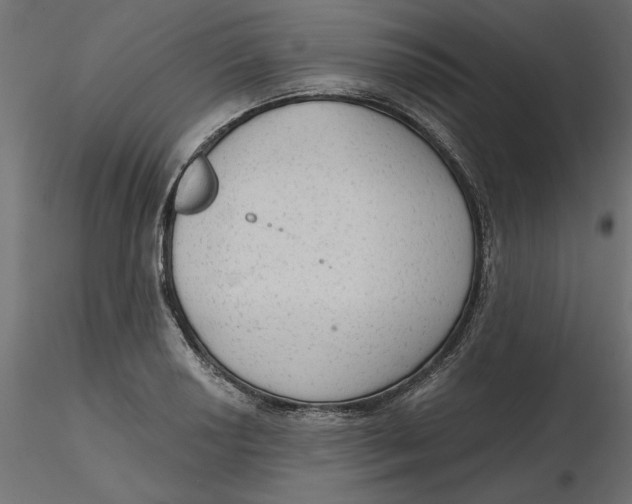 X0000116571034200912311949