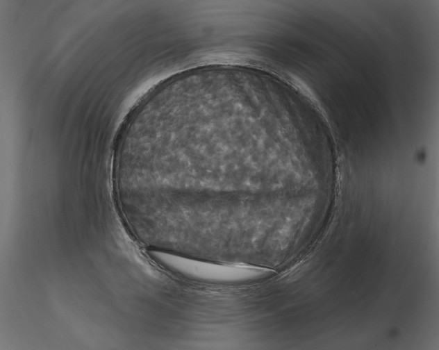 X0000116571035200912311949