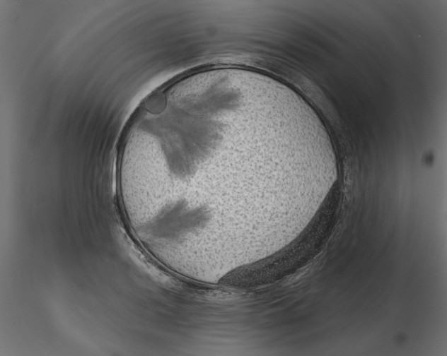 X0000116571036200912311949