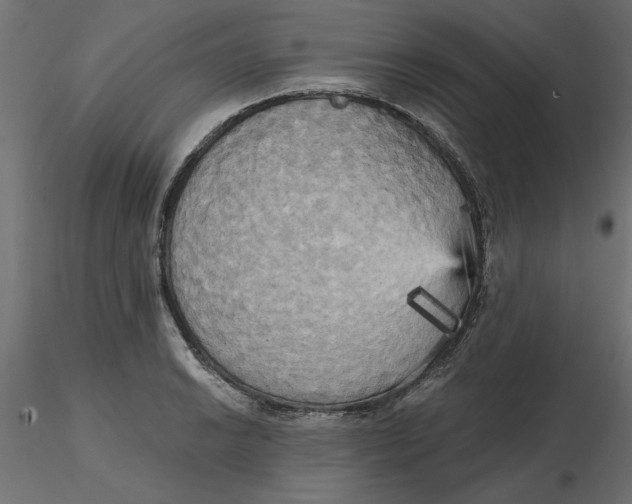 X0000116571038200912311949