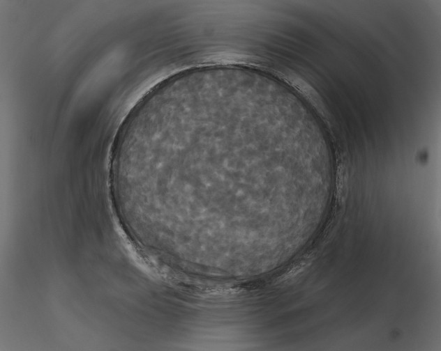 X0000116571039200912311949