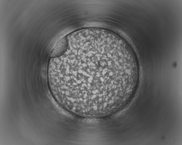 X0000116571041200912311949