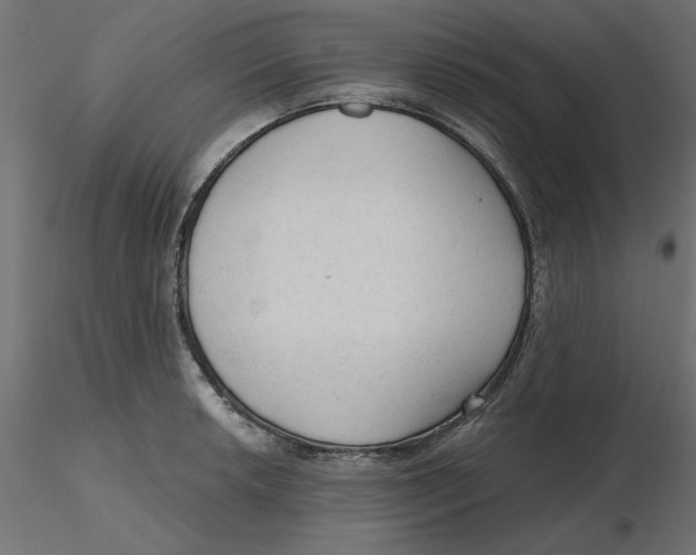 X0000116571042200912311949