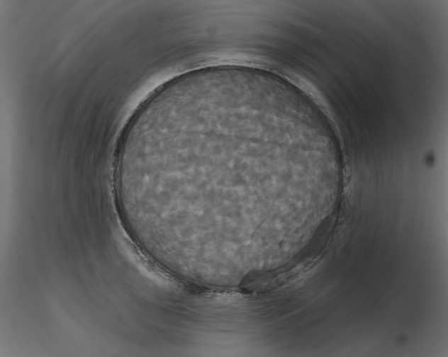 X0000116571043200912311949