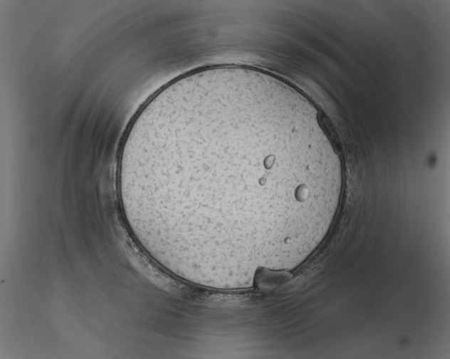 X0000116571044200912311949