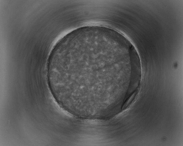 X0000116571045200912311949