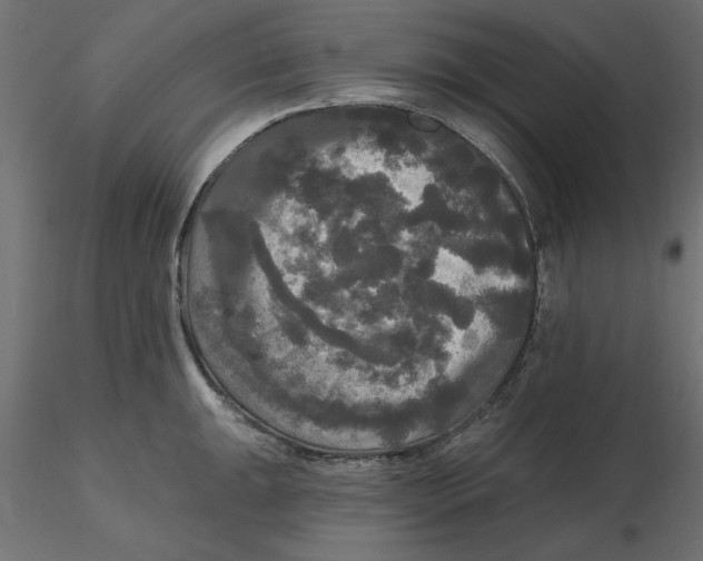 X0000116571047200912311949