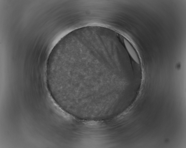 X0000116571048200912311949