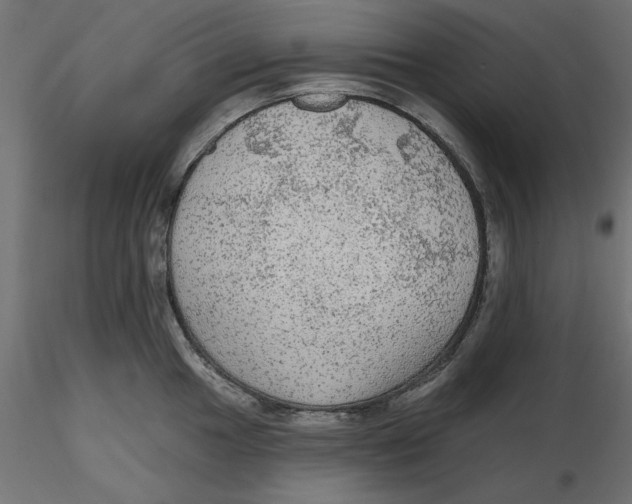 X0000116571049200912311949