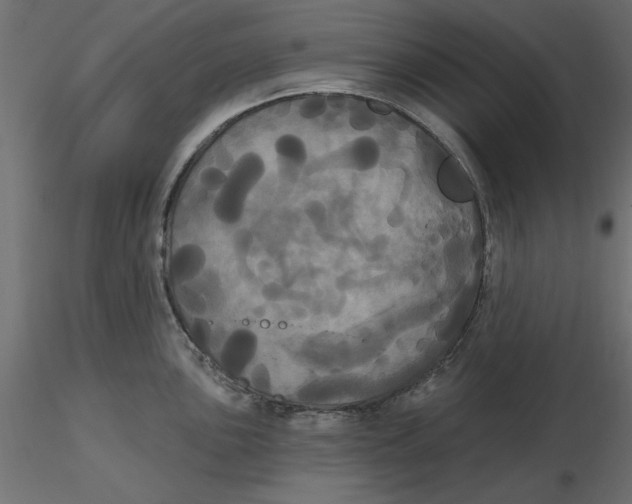 X0000116571051200912311949