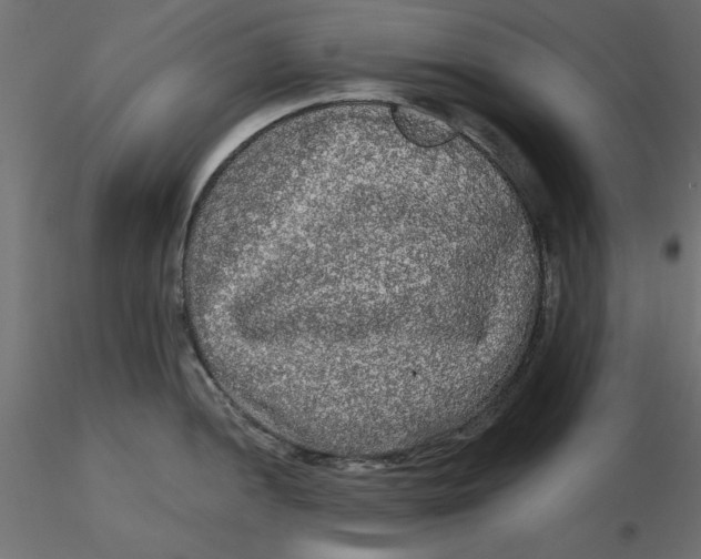 X0000116571052200912311949