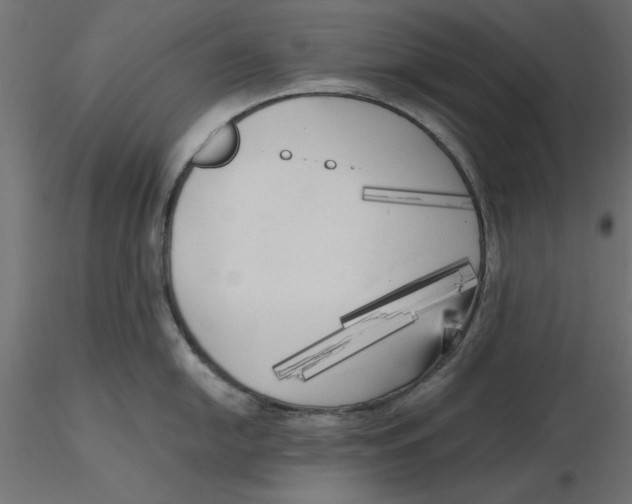 X0000116571054200912311949