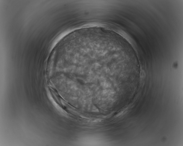 X0000116571055200912311949