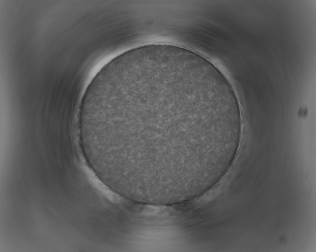 X0000116571056200912311949