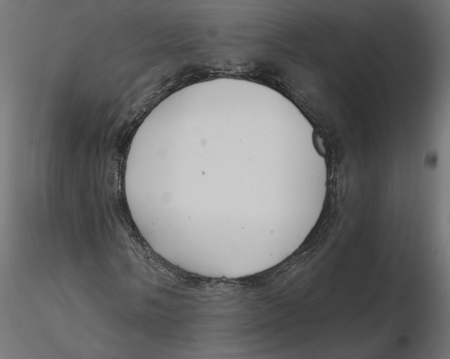 X0000116571058200912311949