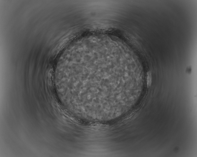 X0000116571059200912311949