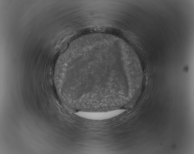 X0000116571060200912311949