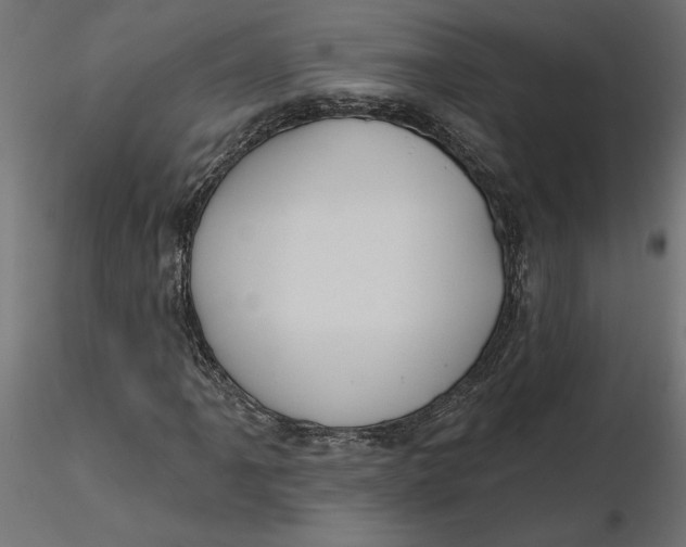 X0000116571061200912311949