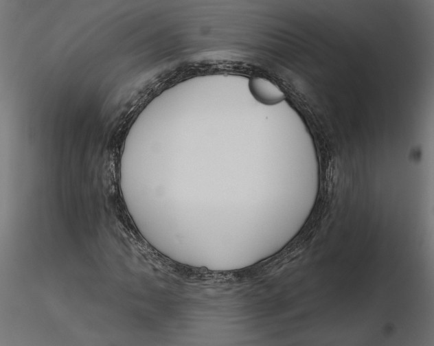 X0000116571062200912311949