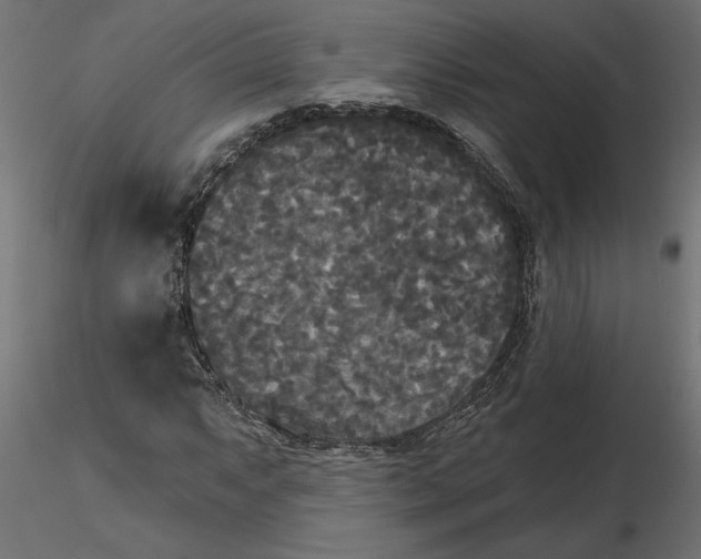 X0000116571063200912311949