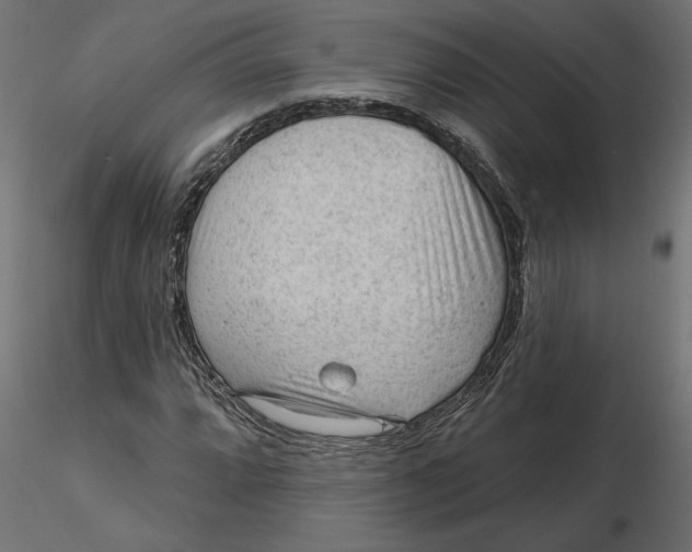 X0000116571064200912311949