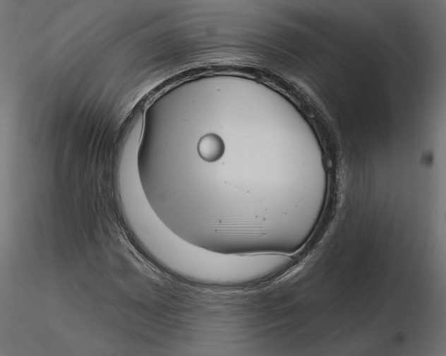 X0000116571065200912311949