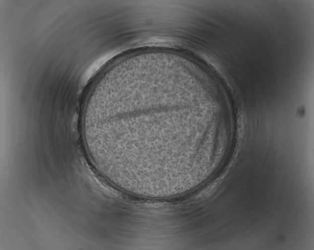 X0000116571066200912311949