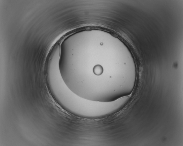 X0000116571068200912311948