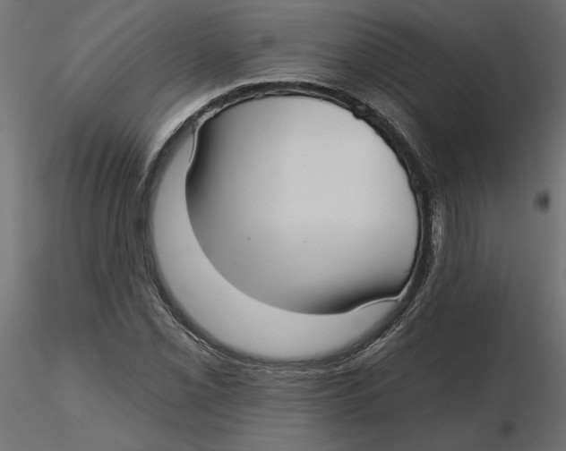 X0000116571069200912311948