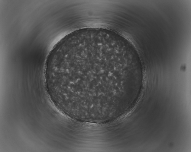 X0000116571071200912311948