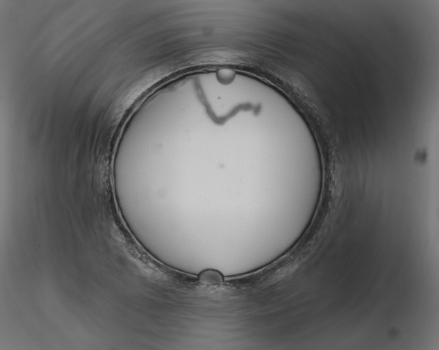 X0000116571073200912311948